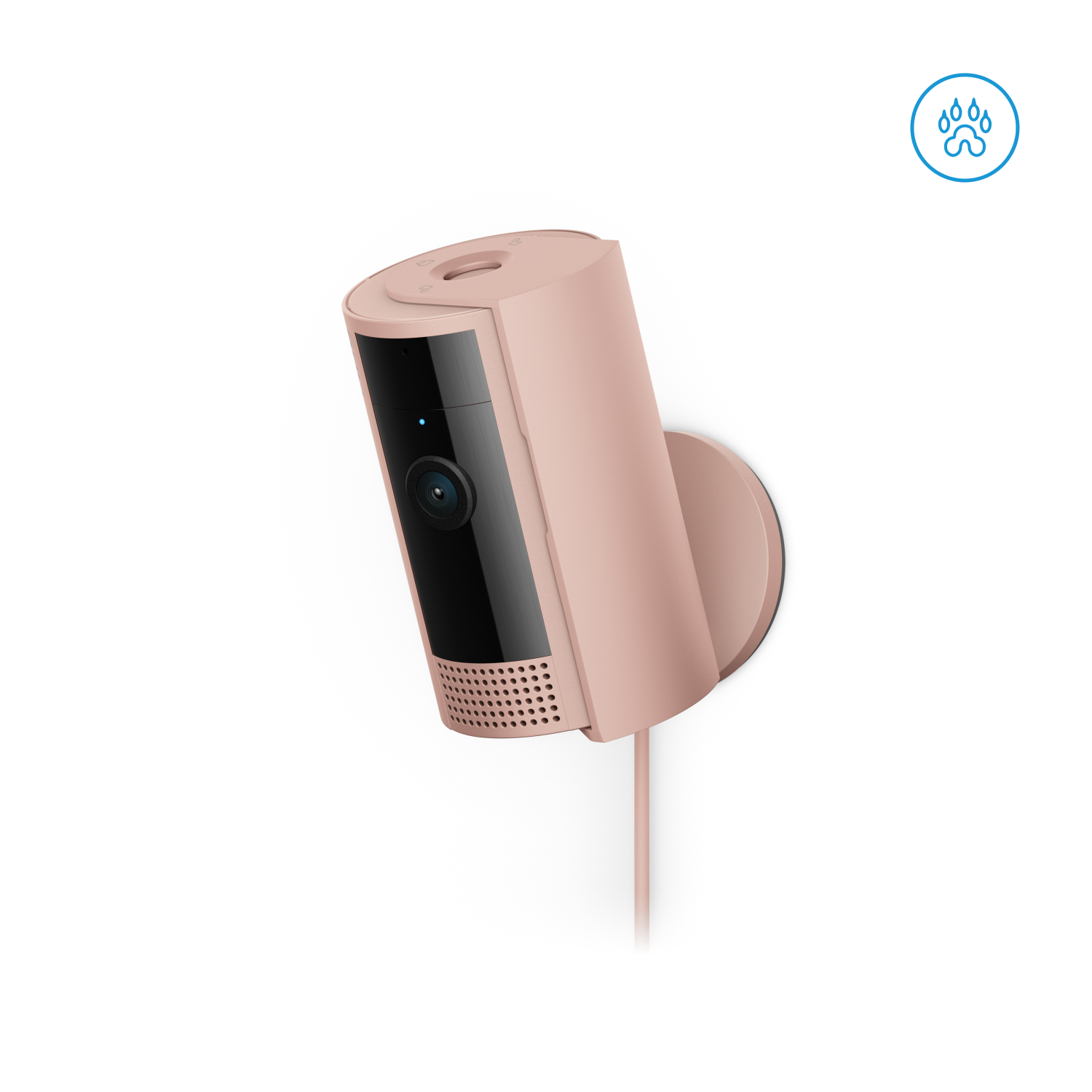 Blush:Indoor Camera (2ª gen.)